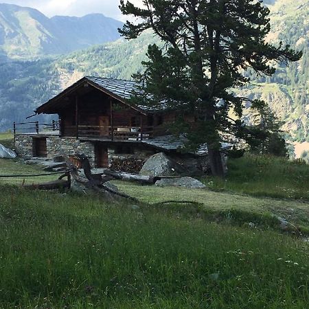 Baite Cialvrina Villa Gressoney-Saint-Jean Exterior photo